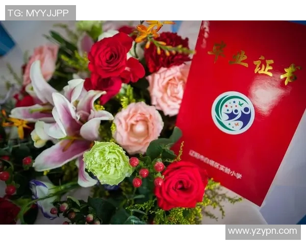 与杨军畅聊王者荣耀职业生涯的点滴与成长之路实时数据