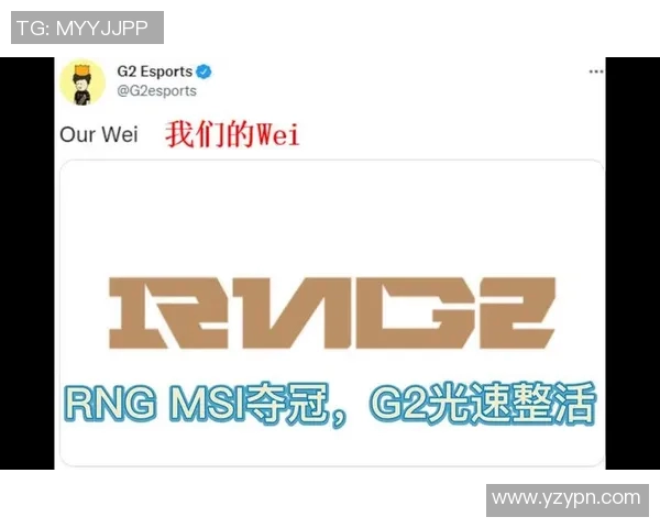 esports数据深入剖析RNG战队运营策略与团队协作的成功之道